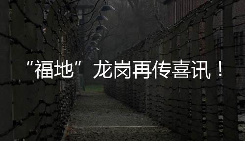 “福地”龙岗再传喜讯!深圳队拿下省运会冰雪项目首枚金牌