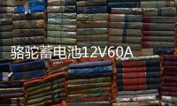 骆驼蓄电池12V60AH适配比亚迪长城丰田金杯奇瑞1DF汽车电瓶 55D26
